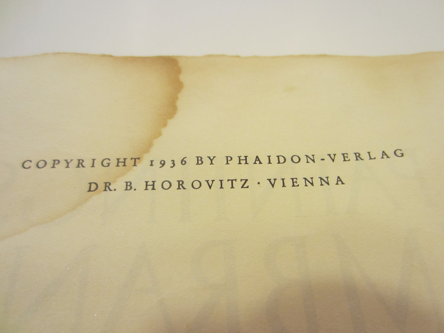 The Paintings of Rembrandt Edited by A Bredius Illustrated Book Printed in Austria