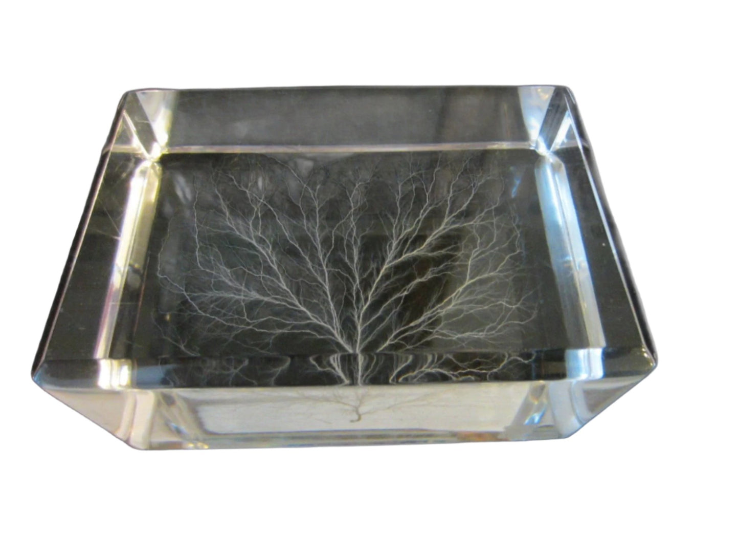 White Tree Encased Art Deco Lucite Paperweight - Designer Unique Finds 