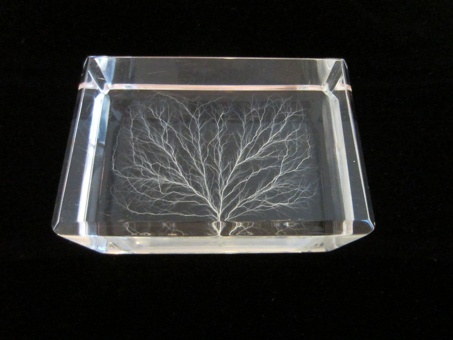 White Tree Encased Art Deco Acrylic Lucite Plaque