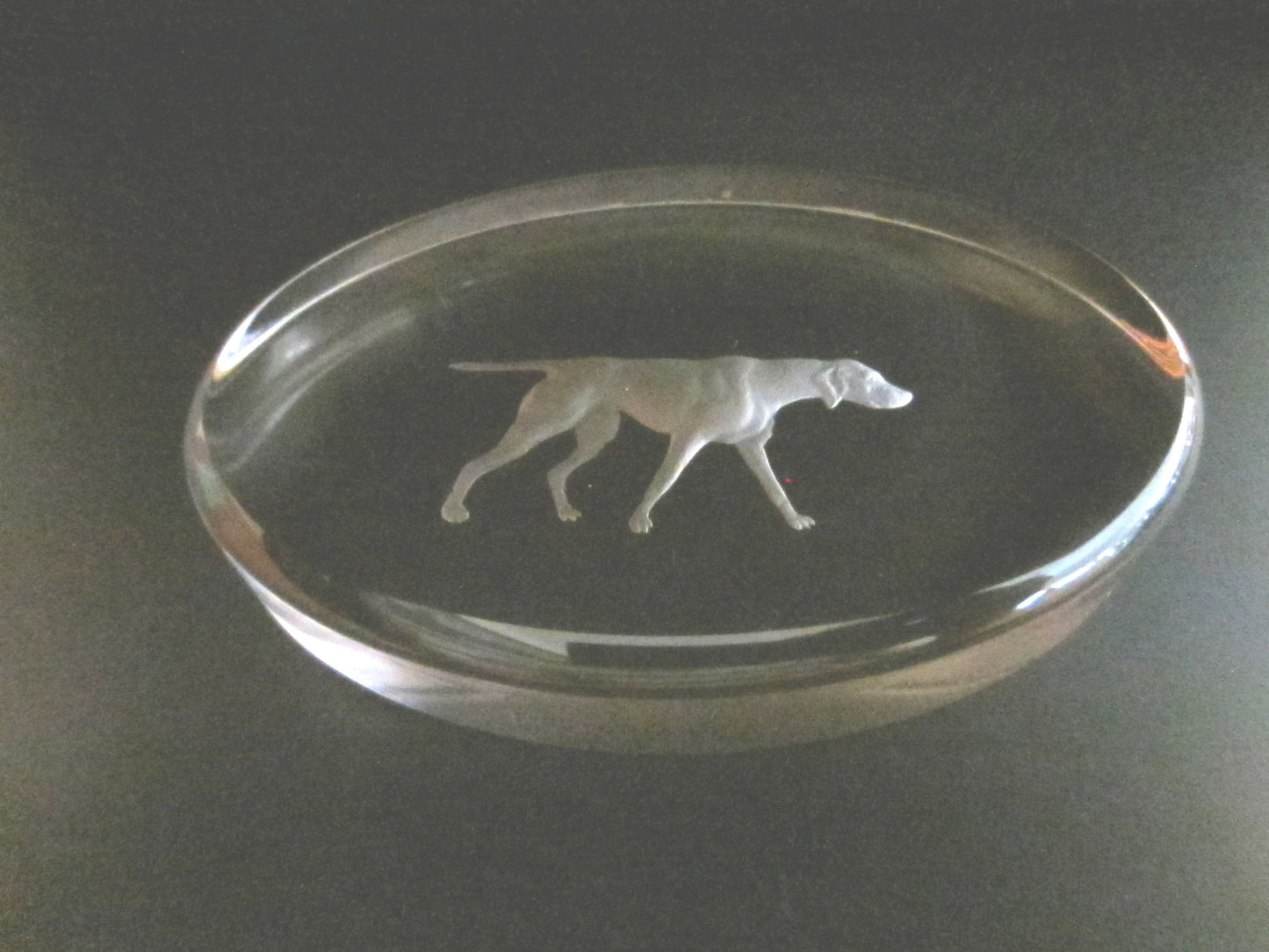 Fostoria Glass Co Moundsville W VA Frost Hound Dog Oval Paperweight