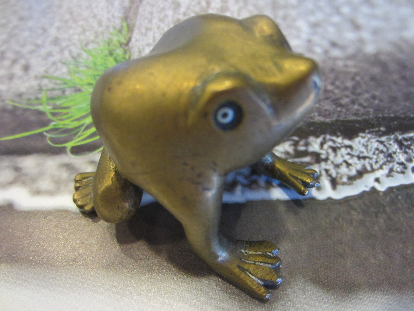 Brass Metal Art Frog Beady Eyes - Designer Unique Finds 