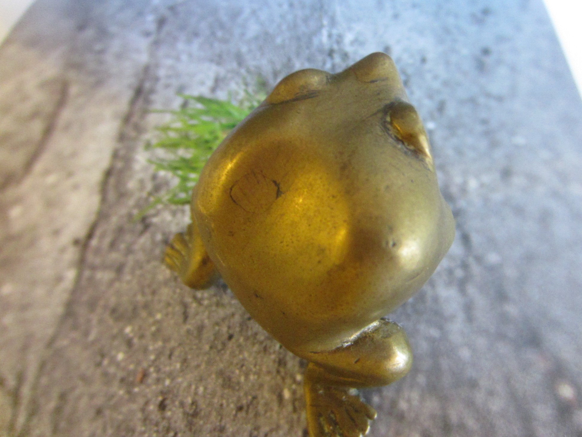 Brass Metal Art Frog Beady Eyes - Designer Unique Finds 