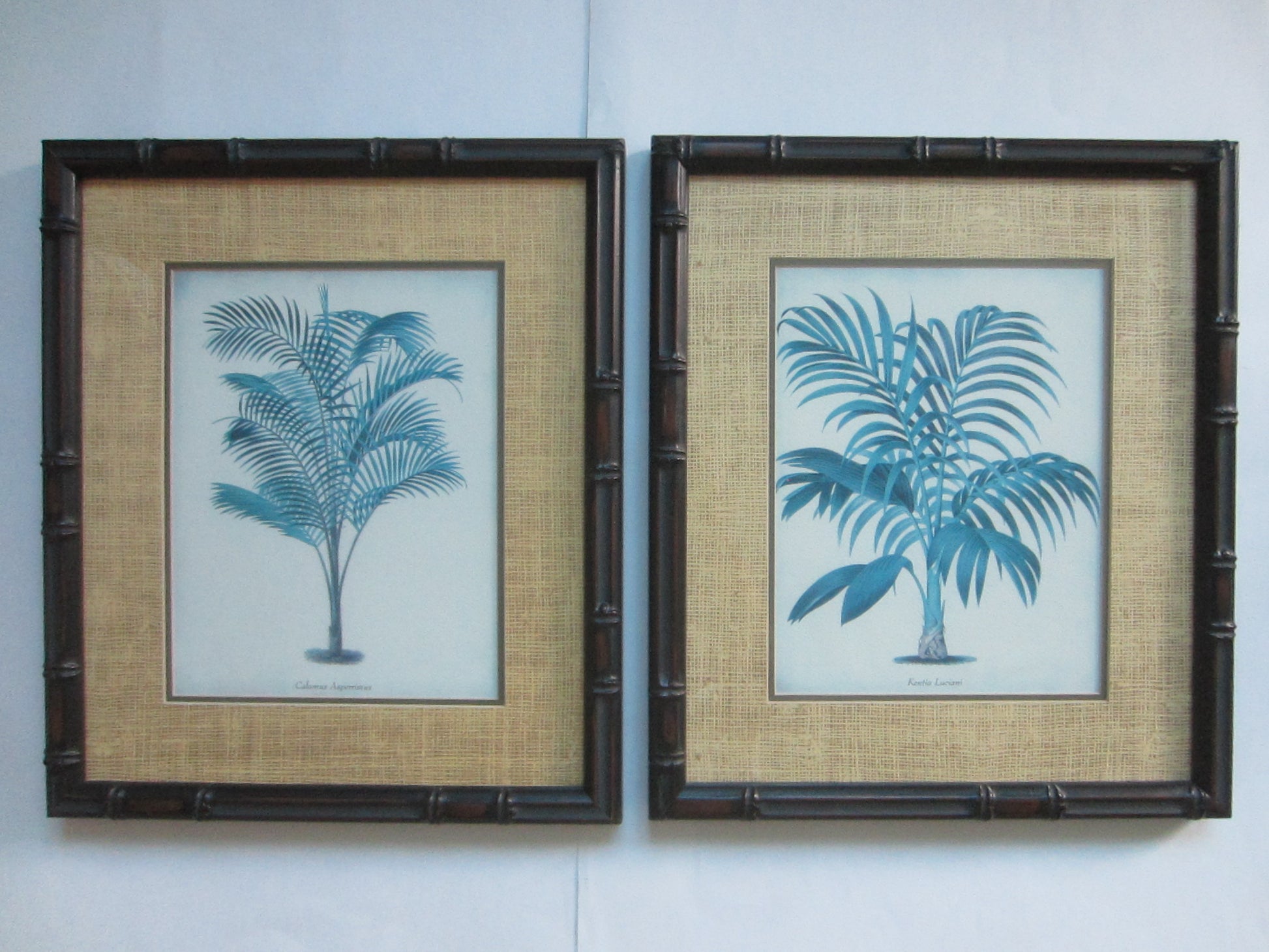 Blue Ferns Botanical Contemporary Framed Illustrations