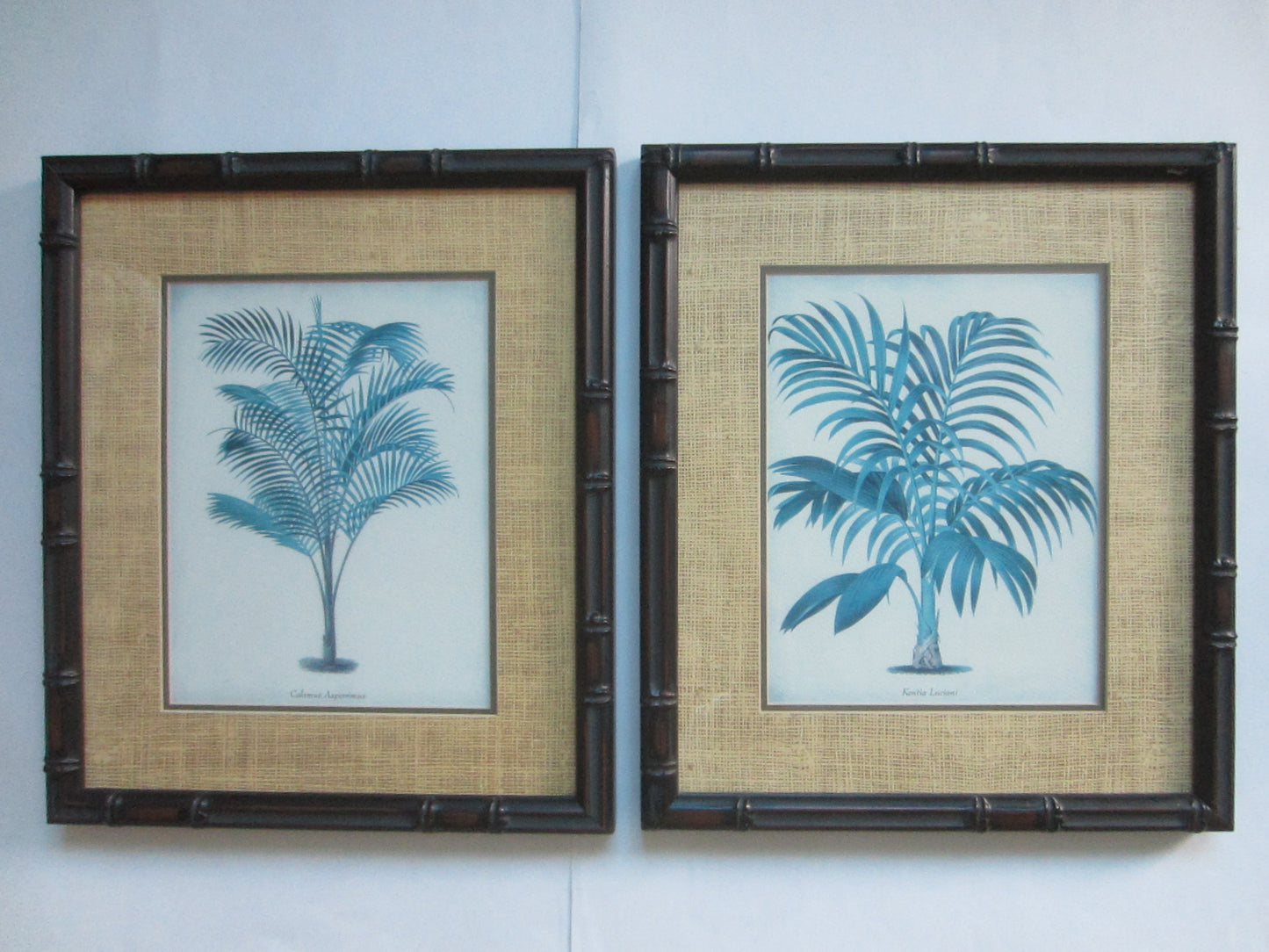 Blue Ferns Botanical Contemporary Framed Illustrations