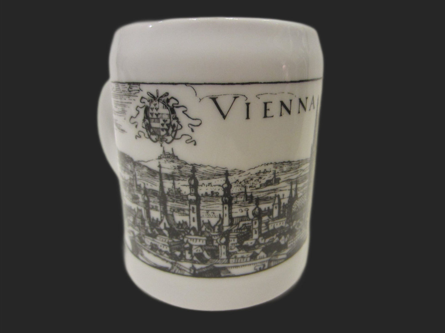 Vienna Austria Muller Co Linz Coffee Mug Black on White Panoramic City View - Designer Unique Finds 