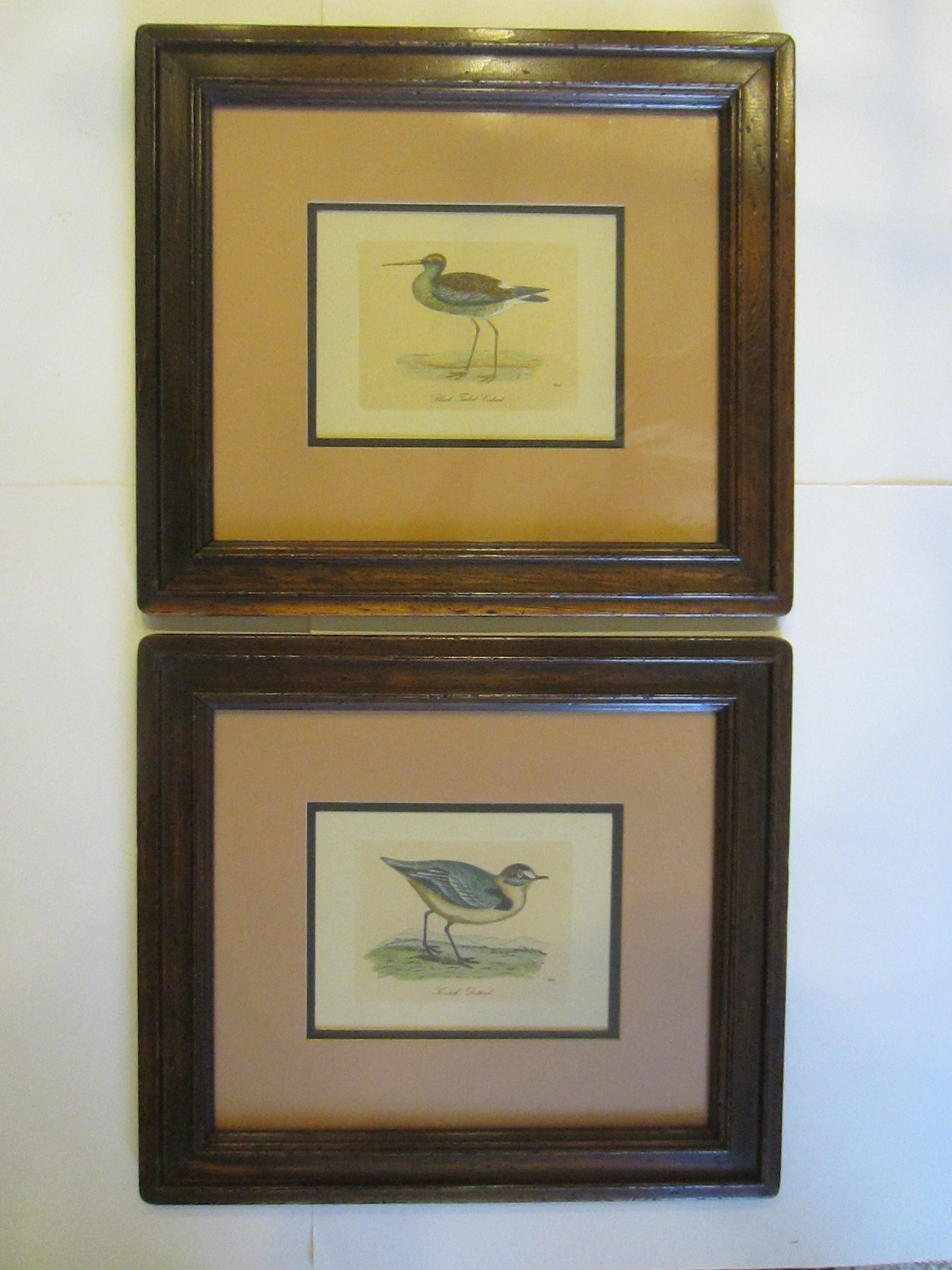 Birds Lithographs Hand Colored Black Tailed Codwit  Kentish Dottrel - Designer Unique Finds 