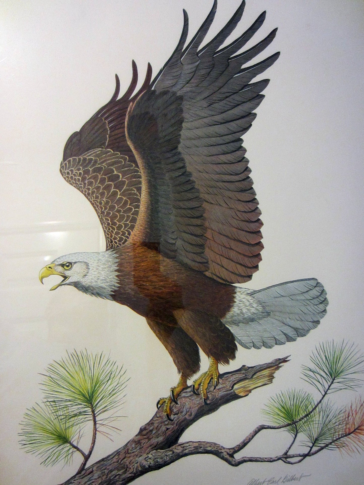 Albert Earl Gilbert Bald Eagle Mid Century Signed Lithograph - Designer Unique Finds 
 - 1