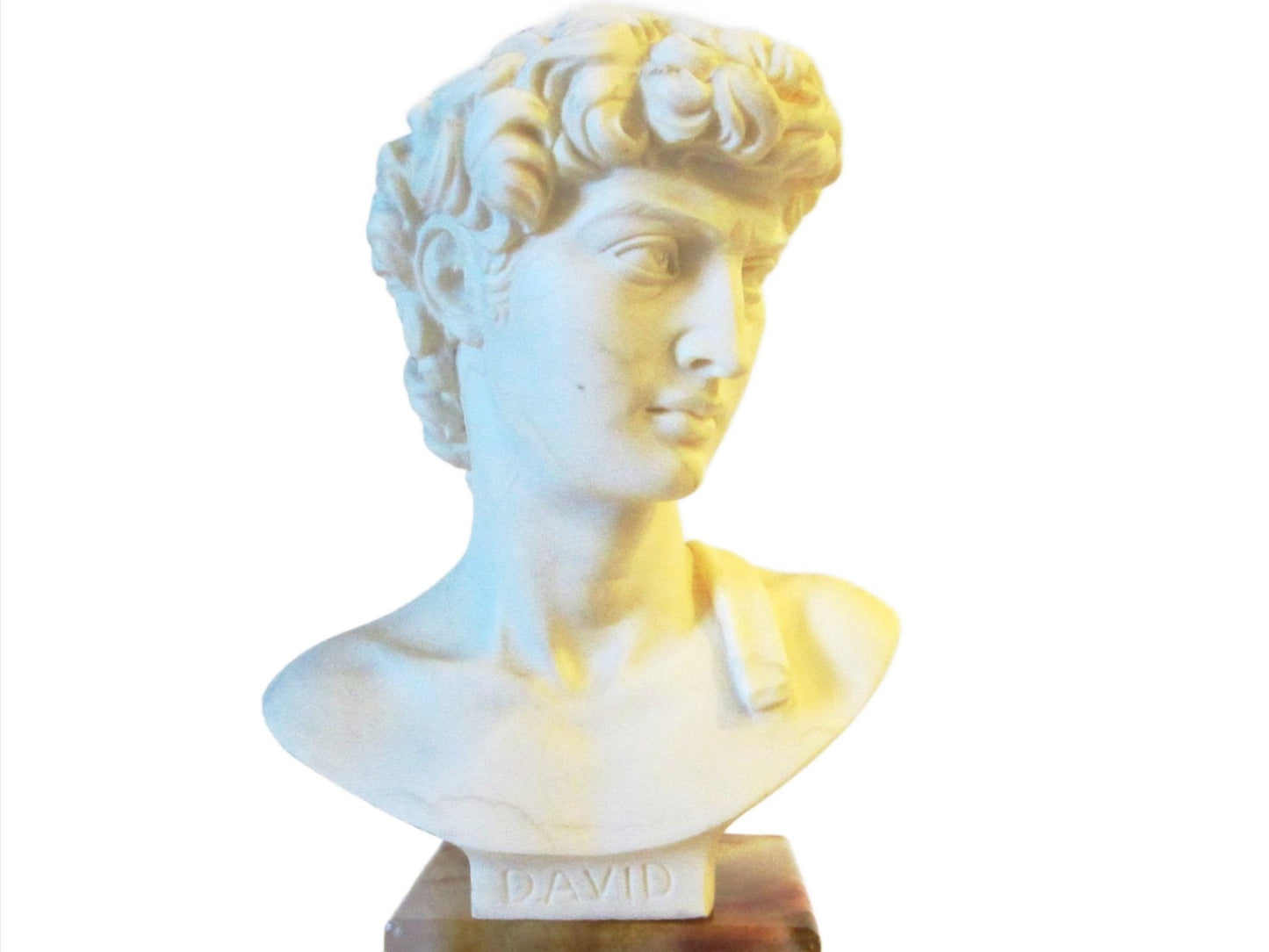 David By A Giannelli Volterra Signed Alabaster Bust Copyrighted - Designer Unique Finds 