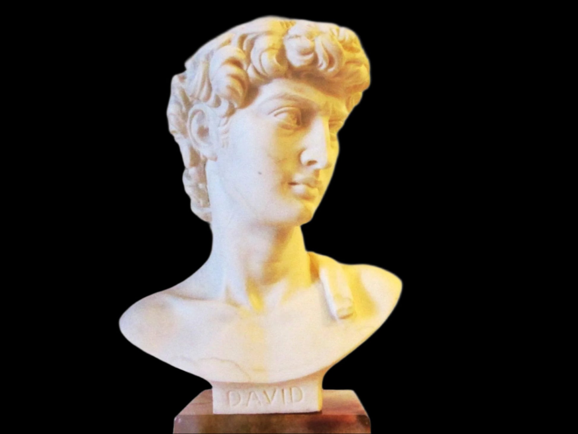 David By A Giannelli Volterra Signed Alabaster Bust Copyrighted - Designer Unique Finds 