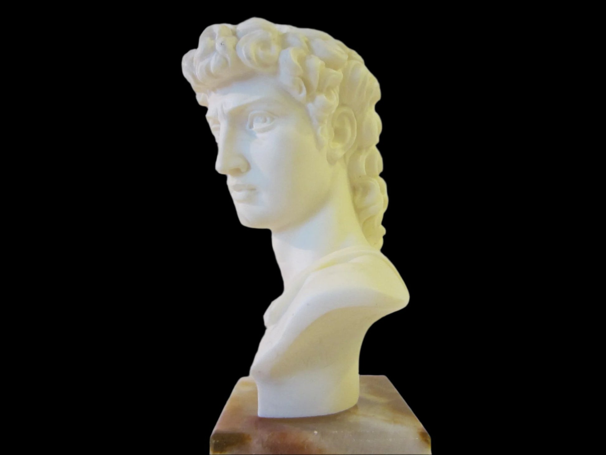 A Giannelli Volterra David Signed Alabaster Bust Copyrighted - Designer Unique Finds 