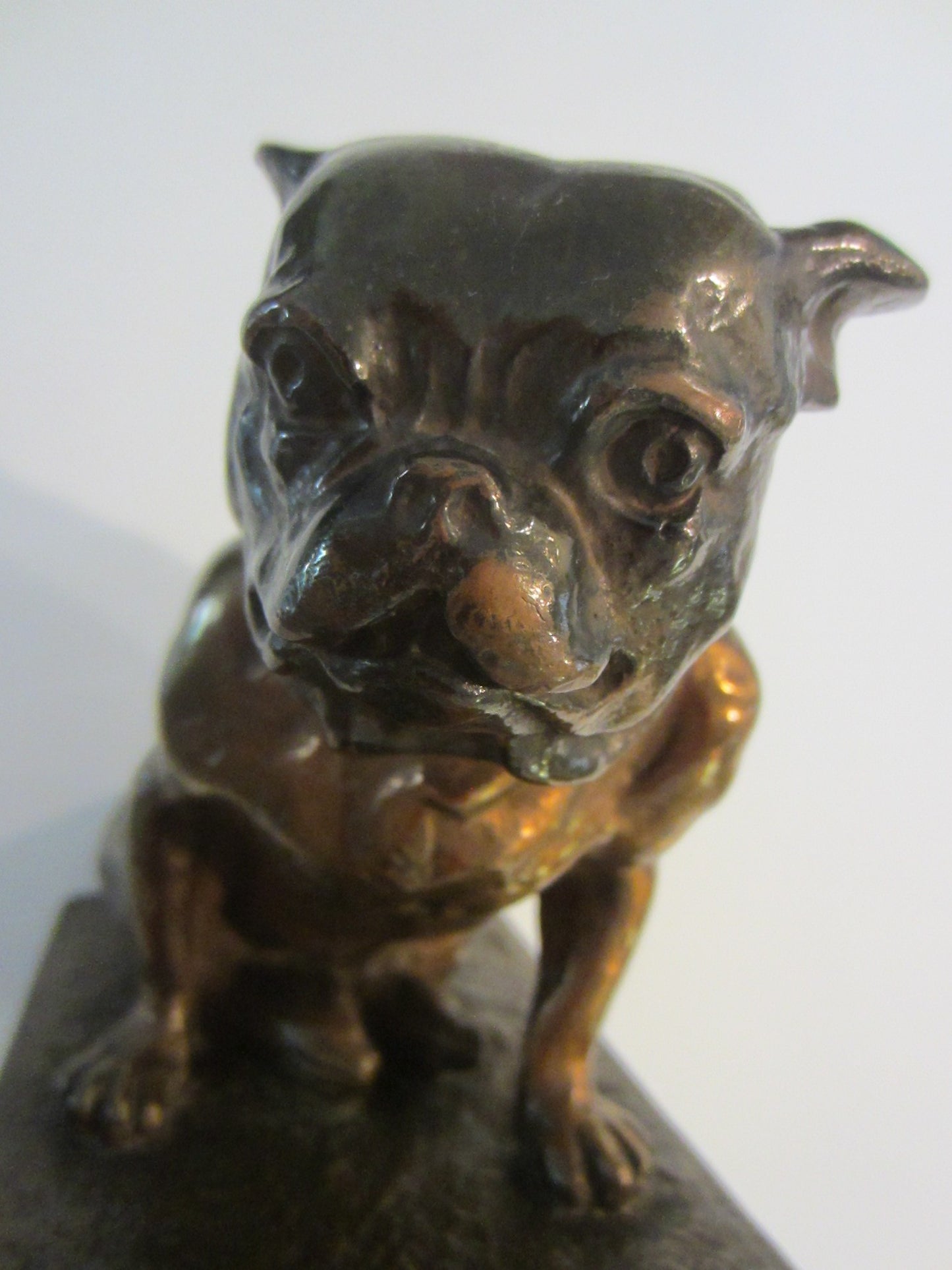 Bronze Bulldog Sculpture