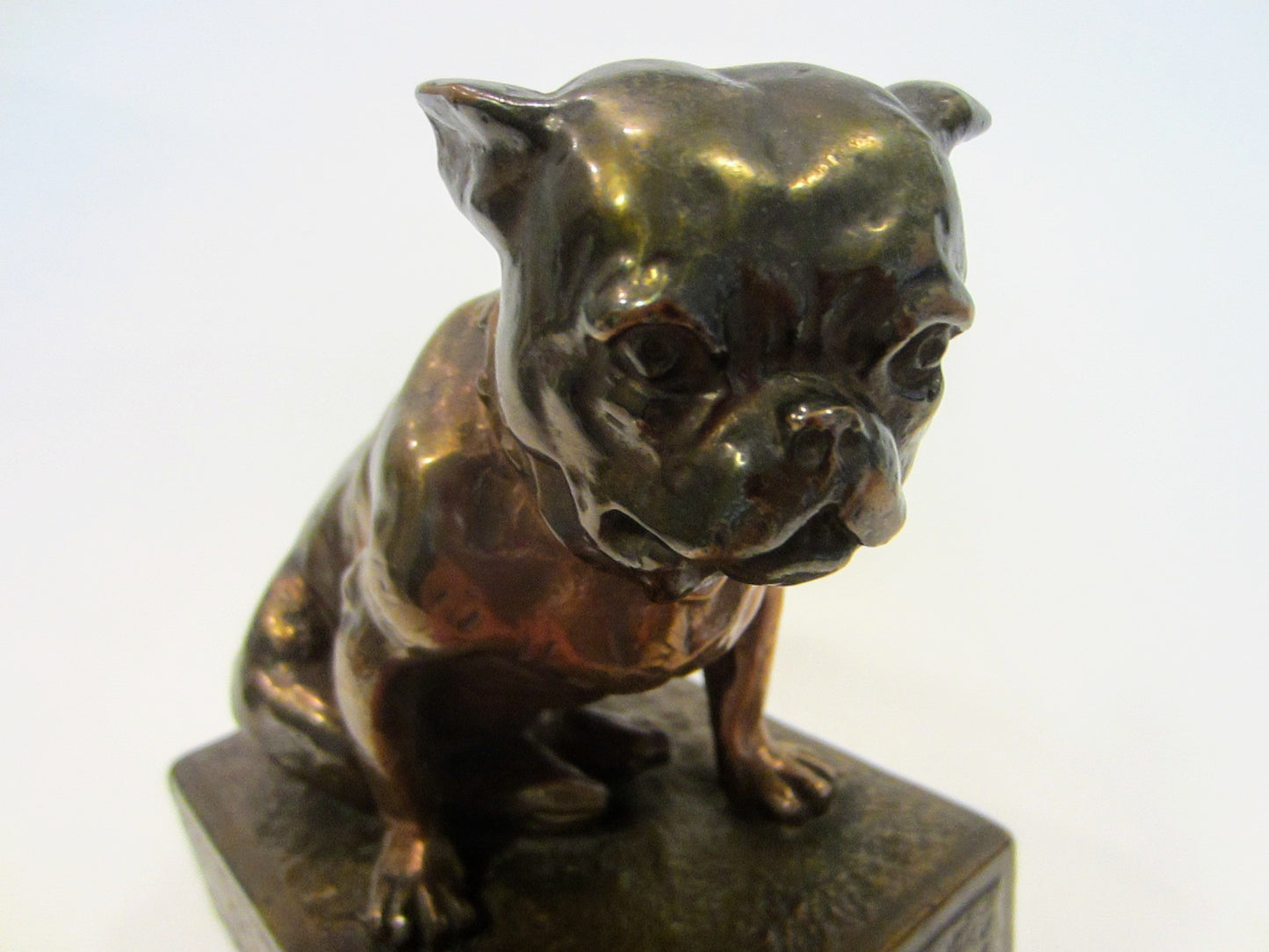 Bronze Bulldog Sculpture