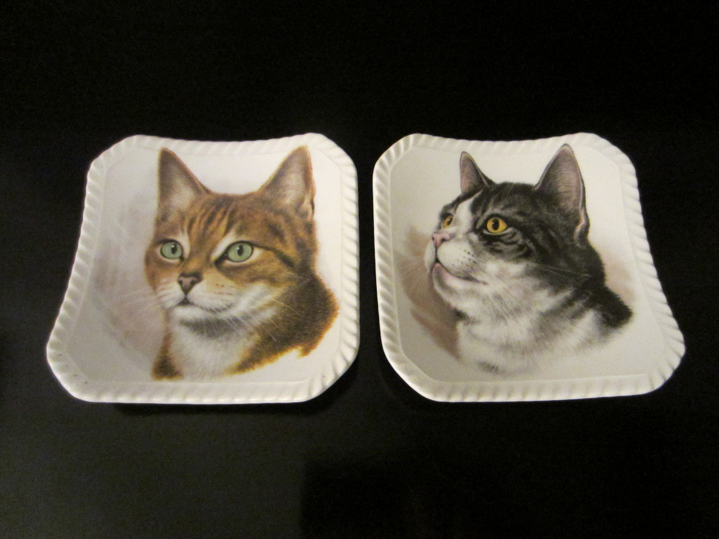 Royal Adderley Floral Bone China England Cats Portraits Decorative Trays - Designer Unique Finds 