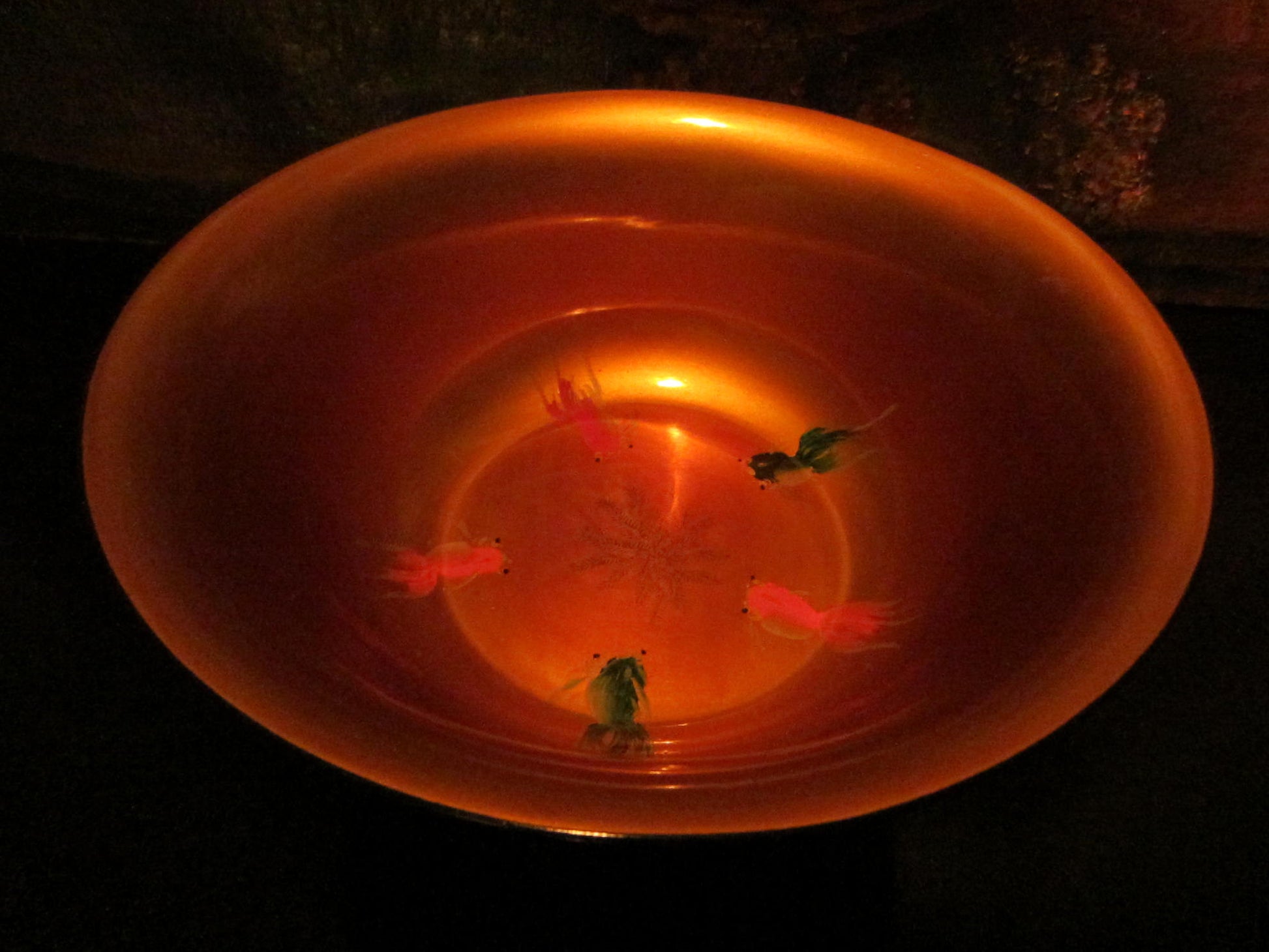 Chinoiserie Chinese Black Lacquered Scenic Golden Bowl Hand Painted Koi Fish - Designer Unique Finds 
 - 4