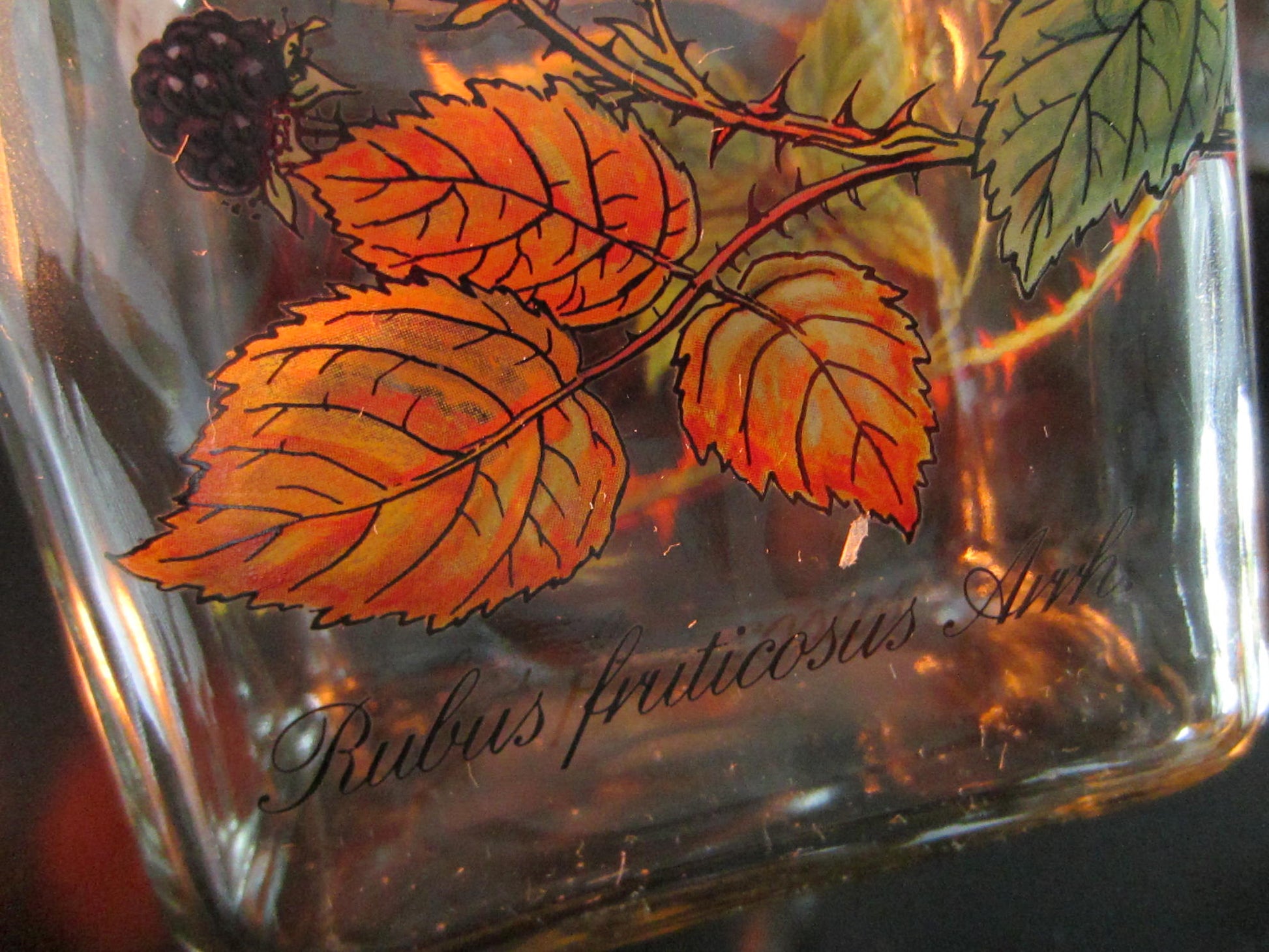 Holm Gaard of Copenhagen Hand Painted Glass Decanter Autumn Leaves - Designer Unique Finds 
 - 2